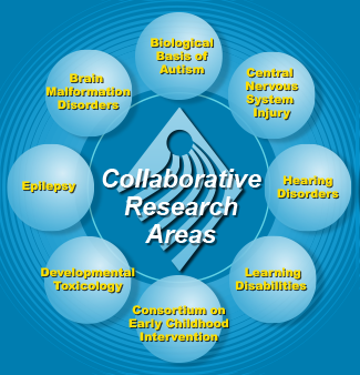 Collaborative Reseach Areas graphic