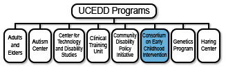 UCEDD organization chart