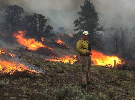 Prescribed Burn