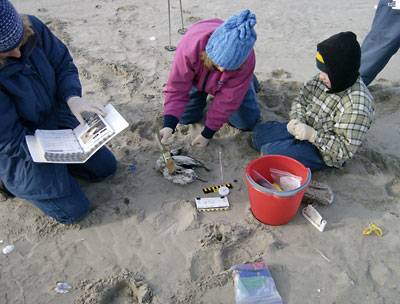 Children playing in sand