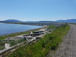 lummi sea pond