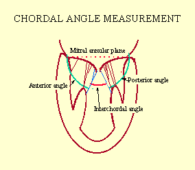 Chordal Angles