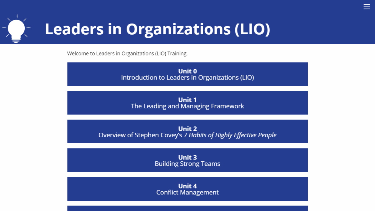 Leaders in Organizations