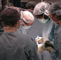 Photo of ovarian cancer surgery.