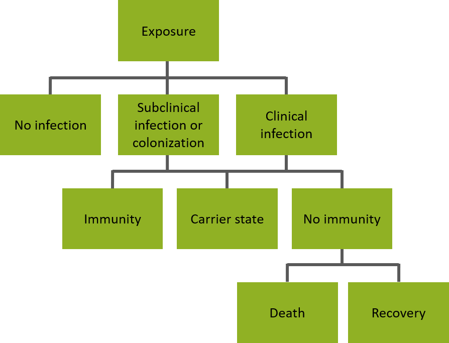 infection pathways