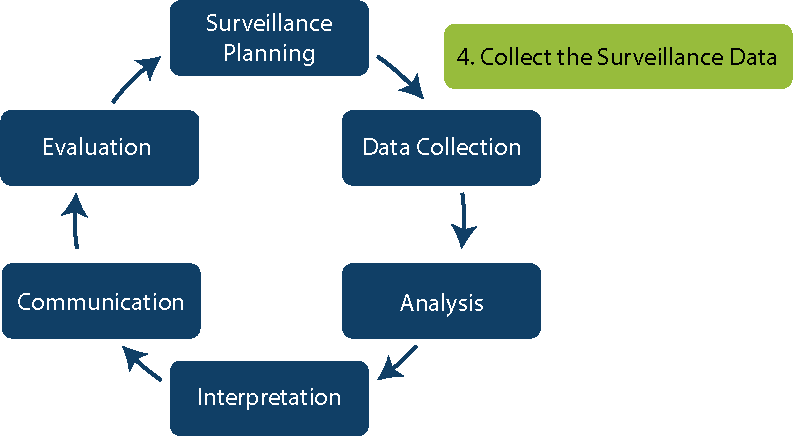 Step 4: data collection