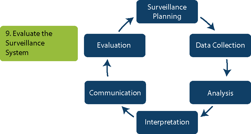 Step 9: Evaluation