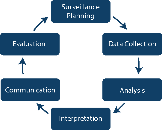 surveillance planning steps