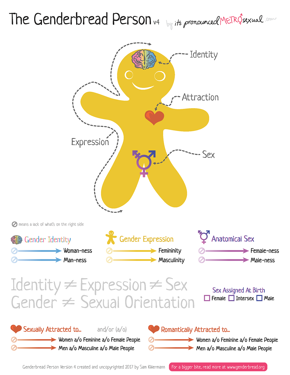 genderbread person diagram