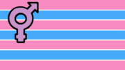 transgender flag
