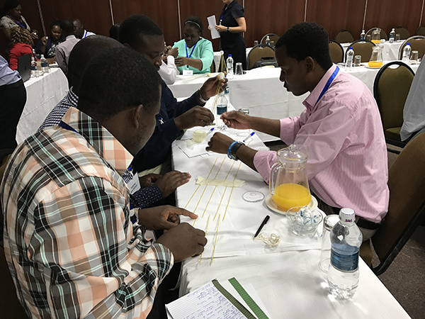 Marshmallow Challenge