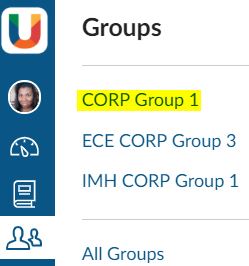 Student Groups view