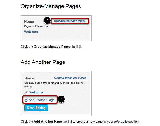 Organize Pages Button