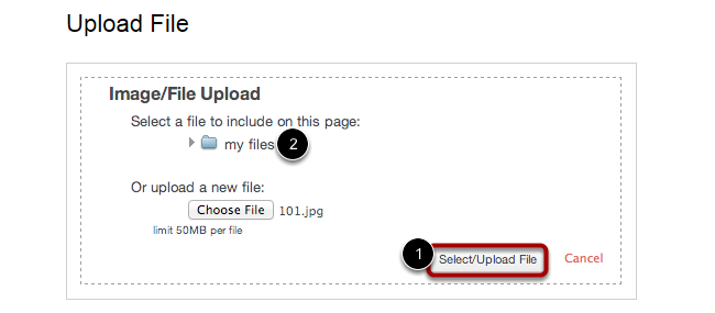 Upload File Option