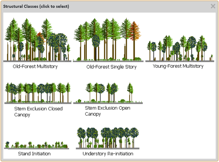 Forest structure classes Forest structure classes
