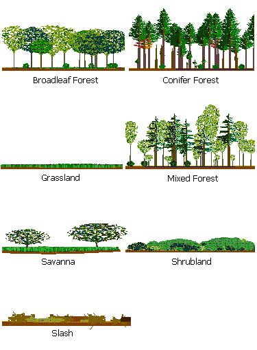 Vegetation Forms