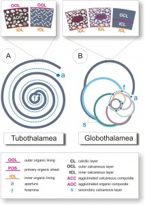 Fig.2_Pawlowski et al PROOF