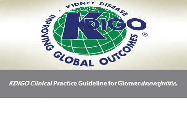 We educate on the latest advances in diagnosing <br />and treating glomerular diseases. 