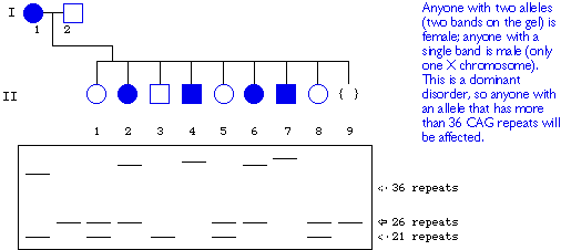 371b-exam2-key-html