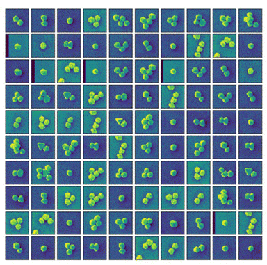 Plasmonics & Nanophotonics