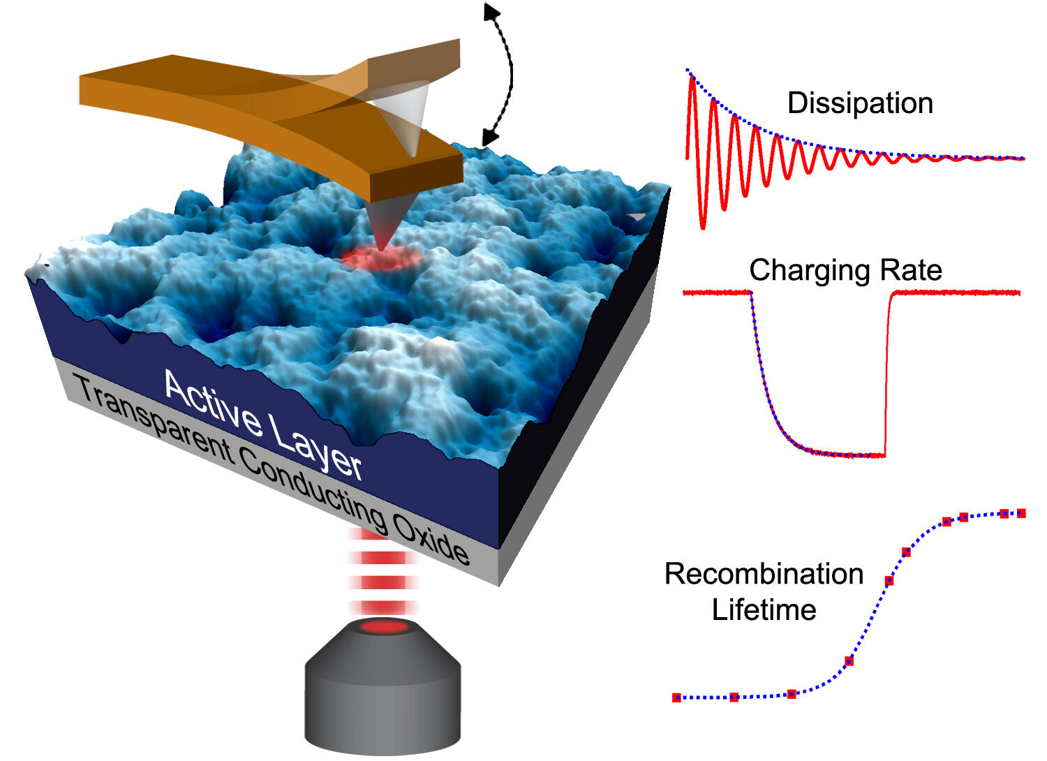 Scanning Probe Microscopy | Ginger Lab