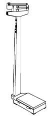Illustration of scales