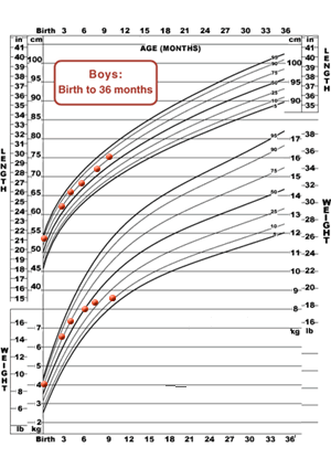 Infant Weight Percentile Chart