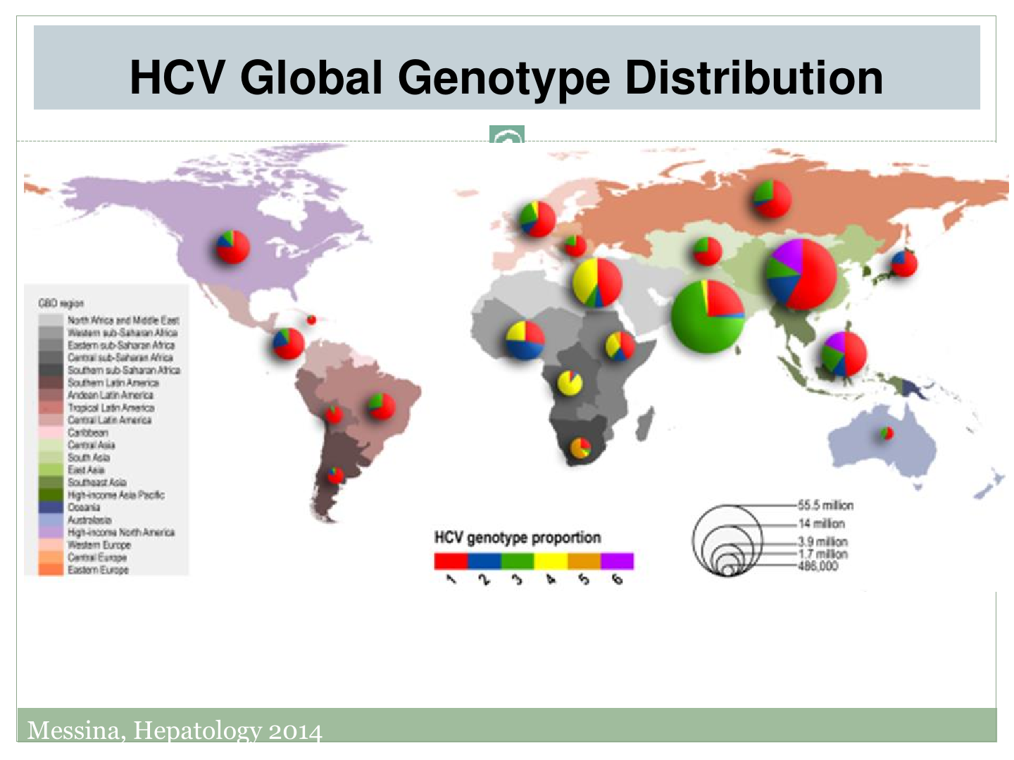 Hcv это. Global distribution. Распространение генотипов HCV. HCV распространенность foto. Geographic distribution of HCV.