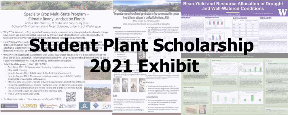 student plant scholarship 2021 exhibit