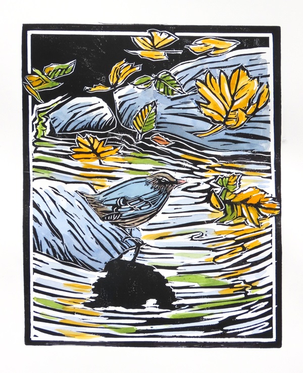 American dipper in Autumn by Molly Hashimoto