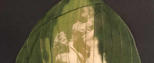 Detail from Apollo and Daphne chlorophyll print by Sally Kim Miller