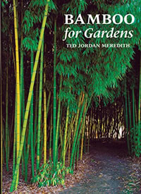 Bamboo for gardens cover