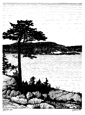 Bayview # 2, copyright Linda Vorobik