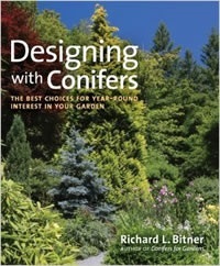 Companions For Your Conifers The Plants That Add All Year Colour