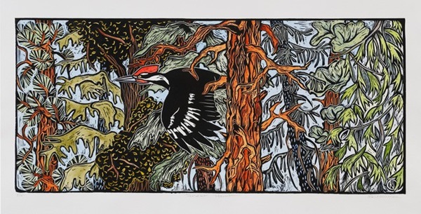 Forest Haunt 2 by Elizabeth Neuman, a pileated woodpecker in the forest