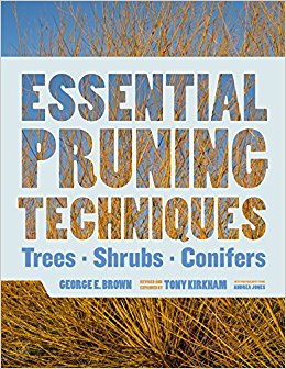 [Essential Pruning Techniques] cover