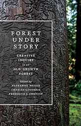 Forest Under Story cover