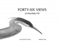 Forty-Six Views of Montlake Fill cover