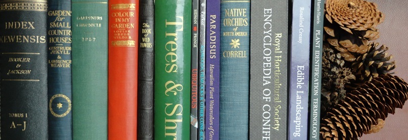 A lineup of books seen from the side, with pinecones on the right side