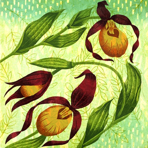 Yellow Lady Slipper by Marian Wachter