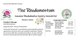 detail from The Rhodomentum