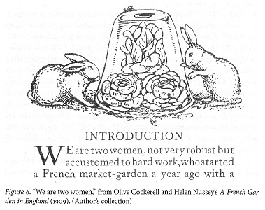 detail from New Woman Ecologies, showing an illustration from 