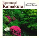 Blossoms of Kamakura. Hana no Kamakura : Harada Hiroshi shashinshū = Blossoms of Kamakura.