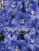 Delphiniums / David and Shirley Bassett.