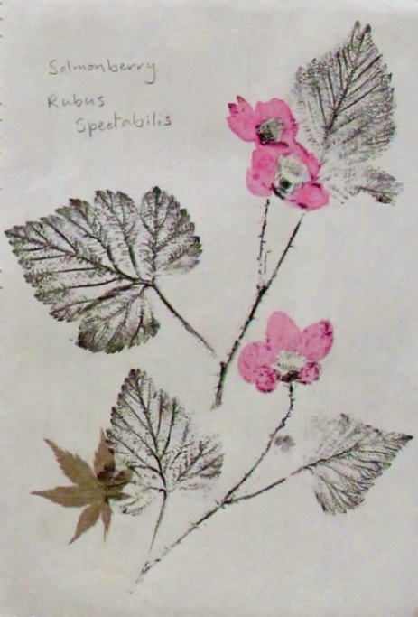 Detail from Yoshi Nakagawa's NW Native & Dye Plants