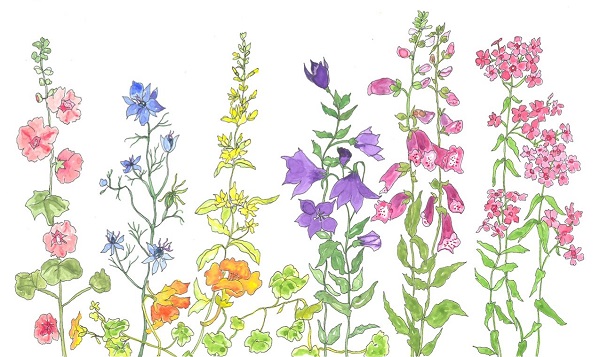 Flower Year 
Book V by Katy Gilmore