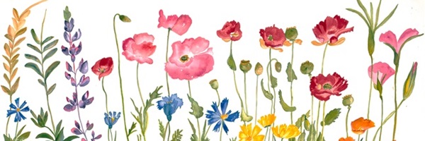detail from June Meadow Flowers by Katy Gilmore