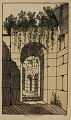 detail from Deakin's Flora of the Colosseum of Rome, 1855