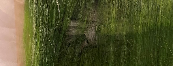detail of rabbit from painting on deconstructed silk by Lena Youkhana