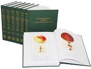 Illustrated history of apples book cover